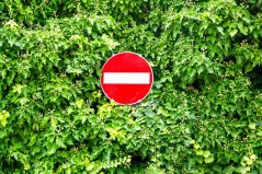 shutterstock_2399766663 resize.jpg