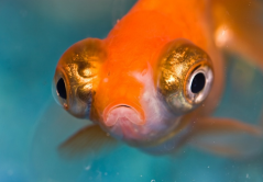 resource_1.png resource_1.png