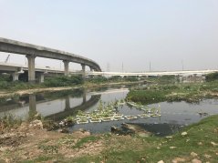 Barapullah drain floating CWs_klein.JPG
