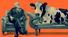 Wageningen W MensDier2.jpg