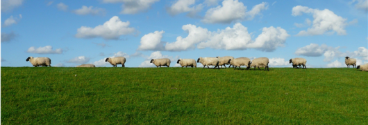 GrassToGas.png GrassToGas.png